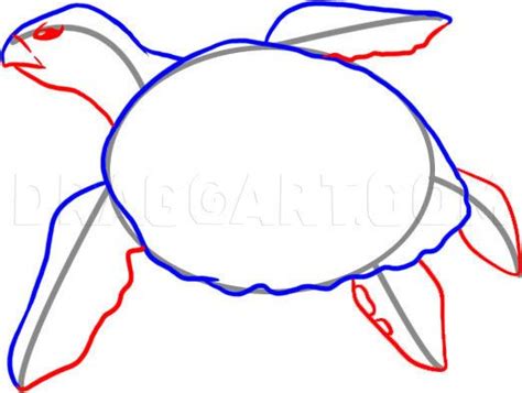 How To Draw A Sea Turtle, Step by Step, Drawing Guide, by Dawn ...