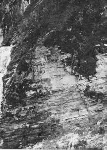 1964 - Claudio Pollini