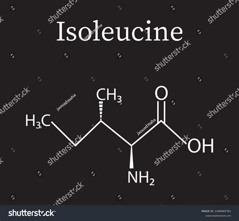 Isoleucine Amino Acid Formula Structure Chemical Stock Vector (Royalty Free) 2288465761 ...