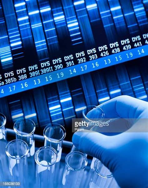 DNA Lab Test 的图像结果
