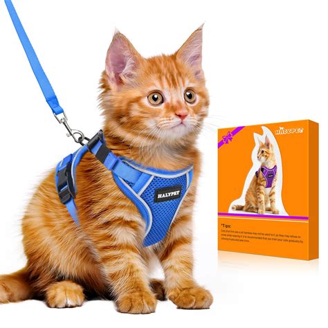 Amazon.com : Halypet Cat Harness and Leash Set [MAX Safety 4th-Gen ...