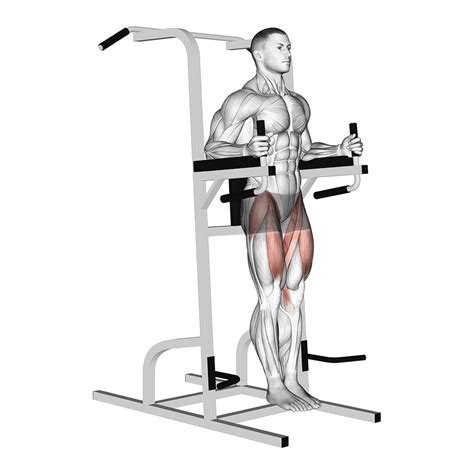 4 Effective Hanging Leg Raise Alternatives (With Pictures!) - Inspire US