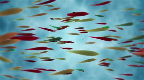 Image result for Stop Motion Fish
