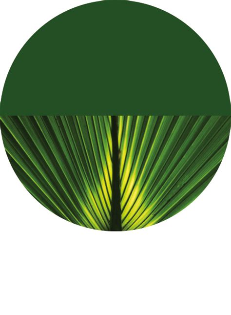 India’s pathway to net zero by 2070: status, challenges, and way ...