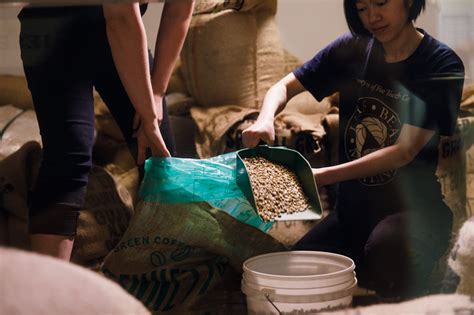 Washed Coffee Process 的图像结果