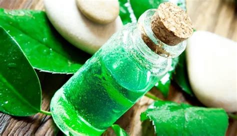 Protect Your Feet from Monsoon Infections with These 10 Tips ...