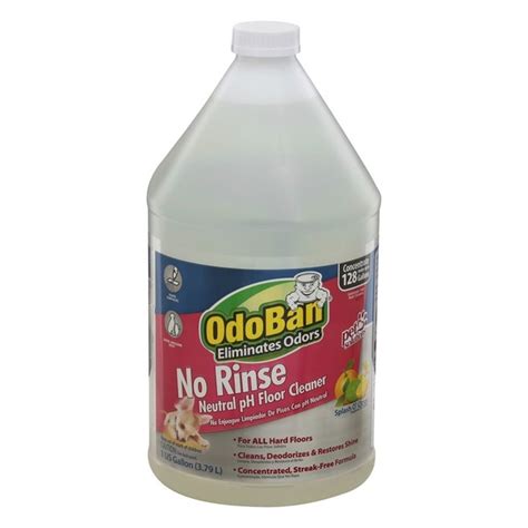 Odoban Floor Cleaner, Neutral pH, No Rinse, Splash O' Citrus (1 gal ...