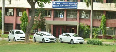 GADVASU - Guru Angad Dev Veterinary And Animal Sciences University