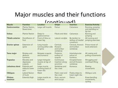 Image result for Functions of Muscles
