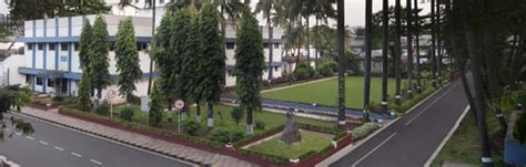 Polymer Inputs Division