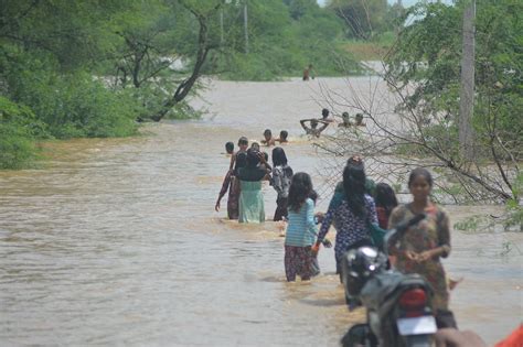 Drought Ends: Bundelkhand Faces 200% Rainfall Surge, Crops Devastated
