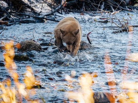 Snoopy Rock Sedona Hike | Moderate Hike With 360 Views