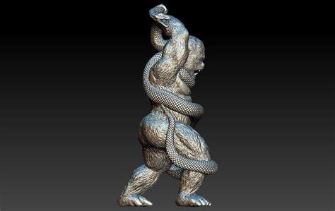 Image result for Gorilla Vs Python Fight
