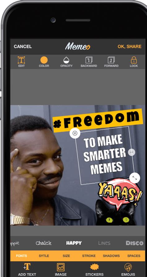 Image result for Memeo Rust