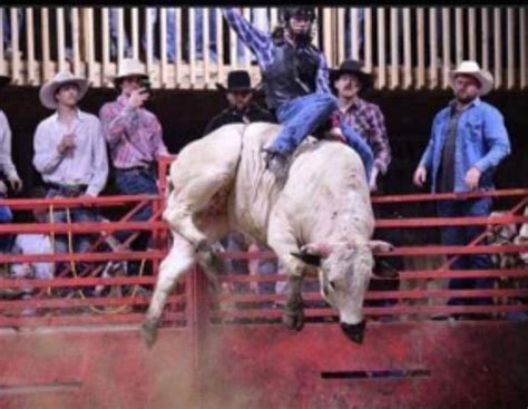 CC Bucking Bull Riding and barrel racing , 900 Fair St, Mineral Point ...