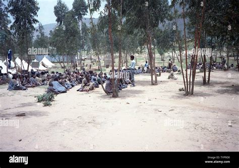 Community 的图像结果