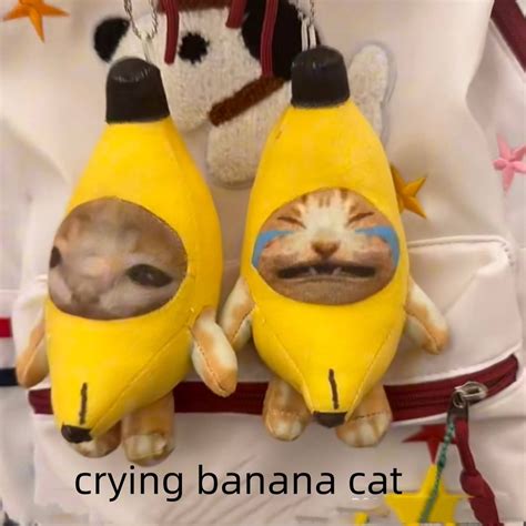 AG 15CM Crying banana cat Crying cat meow with sound Funny voice ...