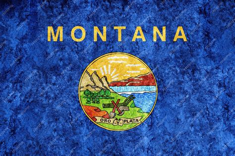 Free Photo | Metallic Montana state flag, Montana flag background ...