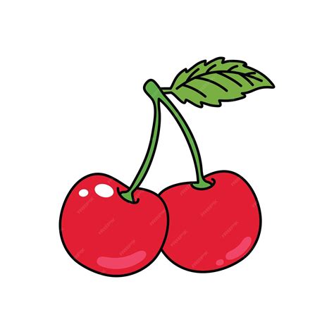 Cherry vector illustration - fresh cherry fruit. cherry cartoon ...