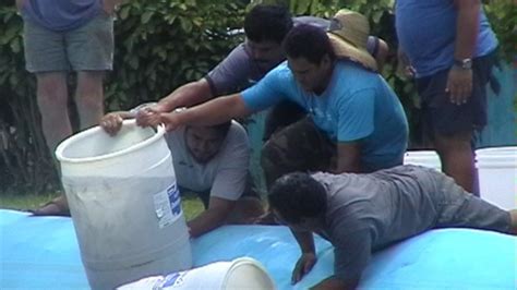 Innovative fish and algae aqua-farming | seed.uno