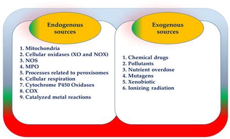 A Brief Overview of Oxidative Stress in Adipose Tissue with a ...