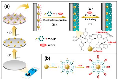 Surface Molecularly Imprinted Polymer Film with Poly(p-aminothiophenol ...