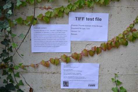 Image result for Free Sample Images Tiff Format