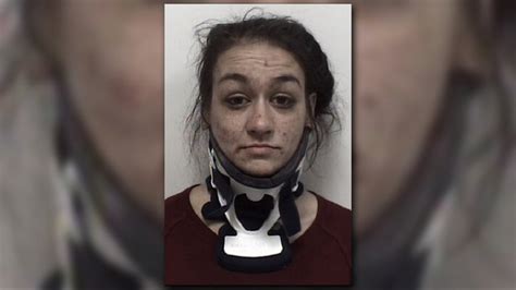 Davidson County Booking Log , Davidson County Sheriff's Office - ELACI