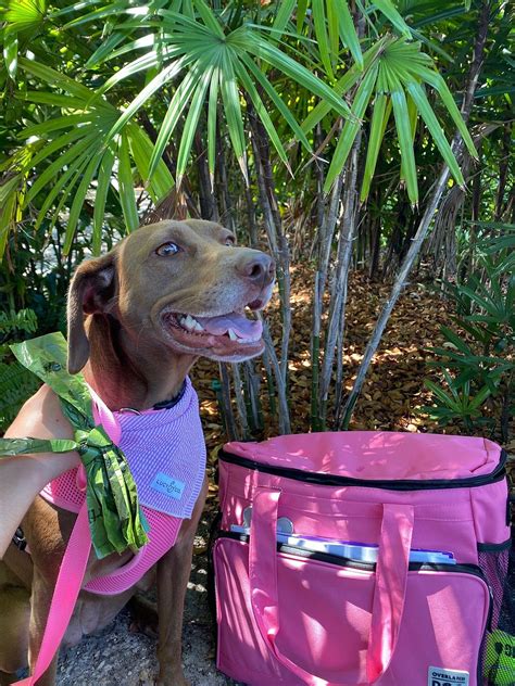 ISLANDER RESORT (Islamorada) - Resort Reviews, Photos, Rate Comparison ...