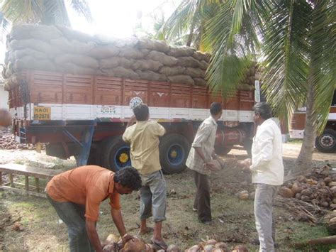 Coconut Development Board