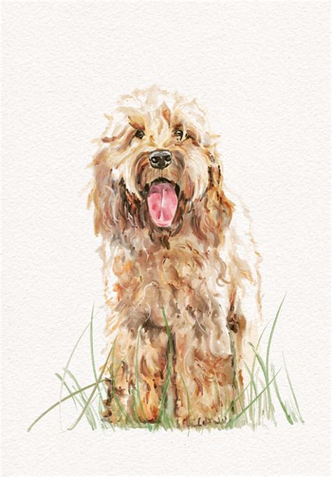 Image result for Hand Drawn Cockapoo