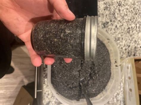 Buy caviar Online | Ubuy India