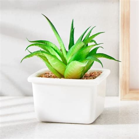 Buy Pots and Planters Online @ Best Prices Online | Home Centre