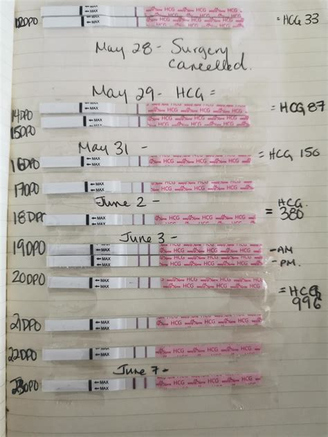 Progression lines from 12-23dpo on Easy at Home HCG strips : TFABLinePorn