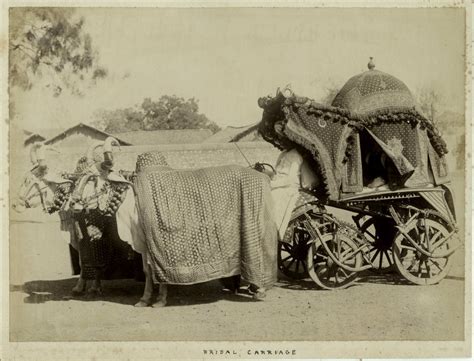 Well Decorated Bridal Ox Carriage - 1860's - Old Indian Photos