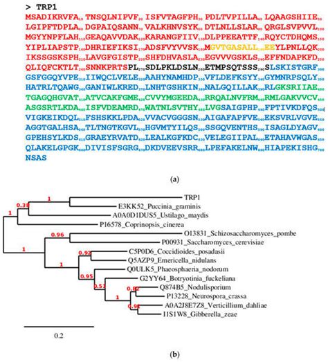 Fungi Tryptophan Synthases: What Is the Role of the Linker Connecting ...