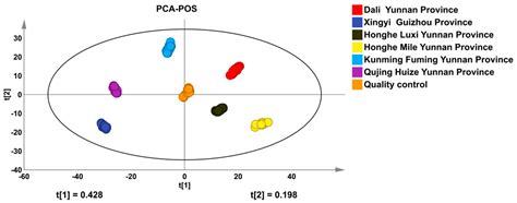 Traceability Research on Geographic Erigeron breviscapus Based on High ...