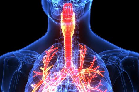 32 Facts About Bamboo Airways - Facts.net