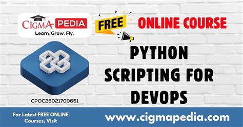 Python Scripting Tutorial 的图像结果