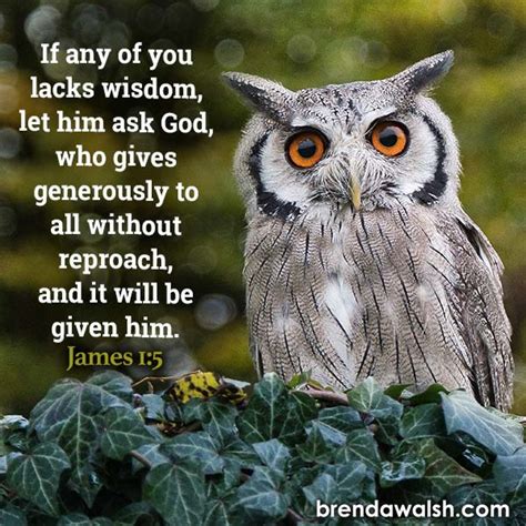 Bible Scriptures Wisdom 的图像结果