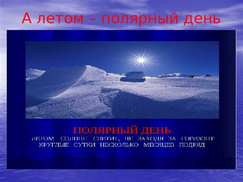 Полярные области Земли