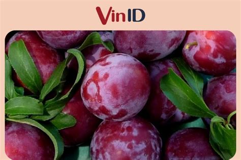 Image result for How Many Method in Java