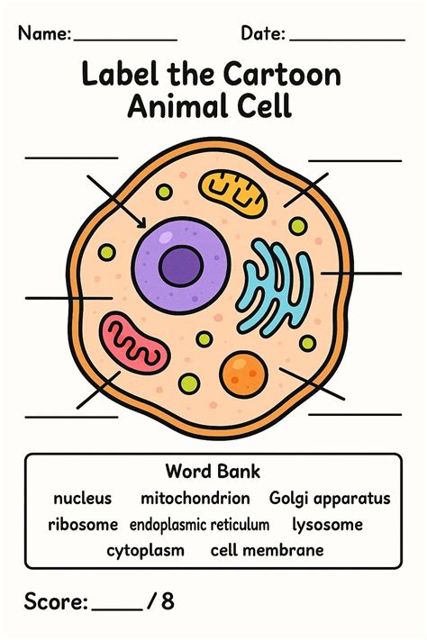Label the Animal Cell Worksheets - Free Image & PDF Printables