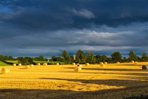 InSite Tours Ireland (Magherafelt) - 2022 What to Know Before You Go ...