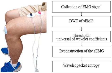Exercise Condition Sensing in Smart Leg Extension Machine