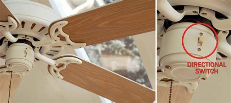 Proper Direction Of Ceiling Fan Rotation | Shelly Lighting