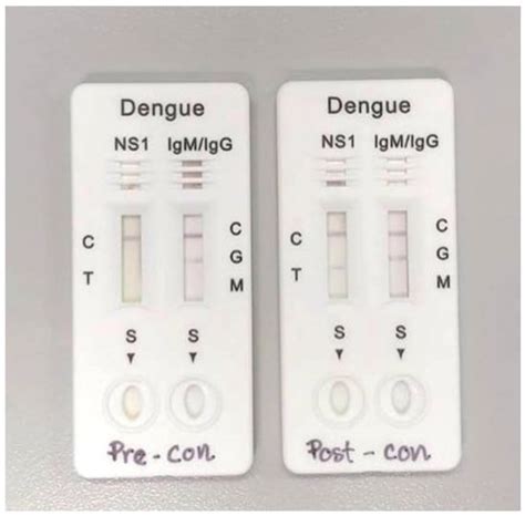 Diagnostic Performance of Dengue NS1 and Antibodies by Serum ...