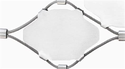 WebNet 的图像结果