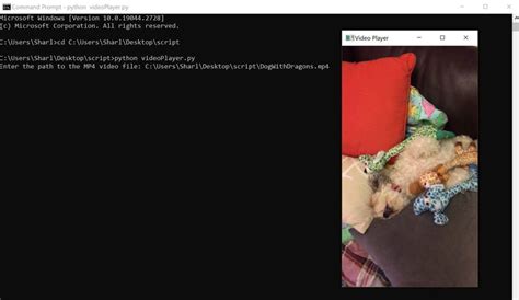 Python Video Player Program 的图像结果