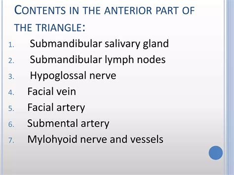 Anterior triangle of neck | PDF